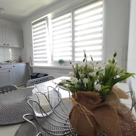 Appartement ***casablanca Apartament*** - 40m² ✓ Rybnik (Silesia)