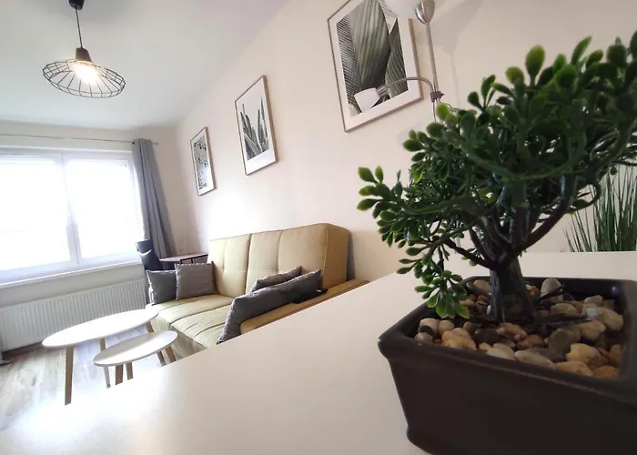 ***casablanca Apartament*** - 40m² ✓