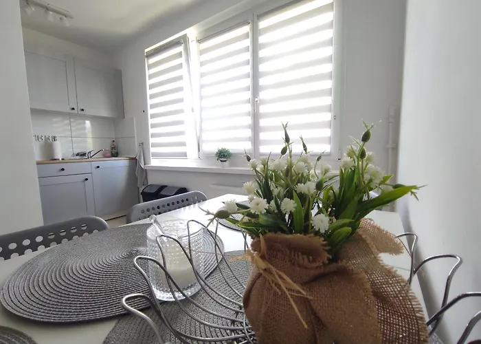 Apartmán ***casablanca Apartament*** - 40m² ✓ Rybnik (Silesia)